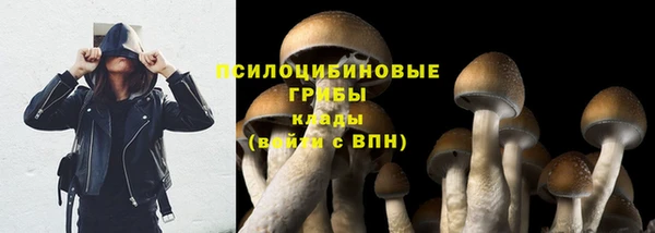 гашик Баксан