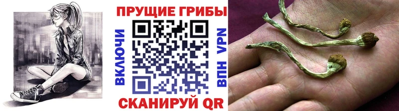 Галлюциногенные грибы мухоморы  kraken   Кунгур 